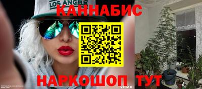 стаф Аша