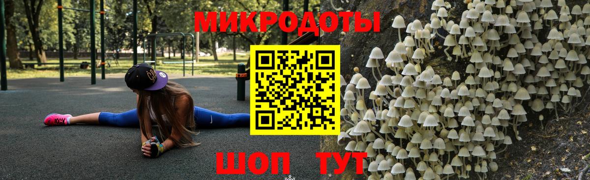 Псилоцибиновые грибы мицелий Вышний Волочёк