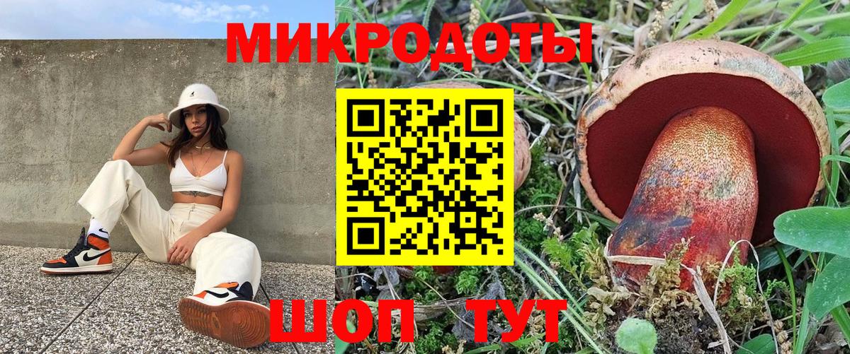 Псилоцибиновые грибы Magic Shrooms  Вход с VPN  где продают   Вышний Волочёк  Галлюциногенные грибы Psilocybine cubensis 